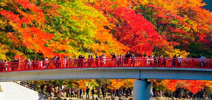 สุขใจไปกับการชมใบไม้เปลี่ยนสี! แนะนำสถานที่ดีๆ ของญี่ปุ่นในการชมใบไม้หลากสีในช่วงฤดูใบไม้ร่วง!!