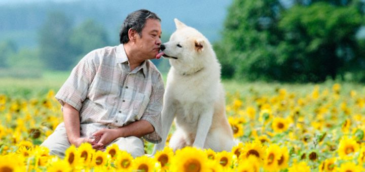 5 ภาพยนตร์ญี่ปุ่นที่จะทำให้คนรักหมาน้ำตาซึม