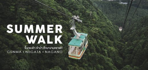 Summer walk  ขึ้นกระเช้า เข้าป่า ศึกษางานคราฟท์ ที่จังหวัด Gunma • Niigata • Nagano ตอน Gunma-กุนมะ