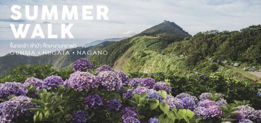 Summer walk ขึ้นกระเช้า เข้าป่า ศึกษางานคราฟท์ ที่จังหวัด Gunma • Niigata • Nagano ตอน Niigata-นีงะตะ