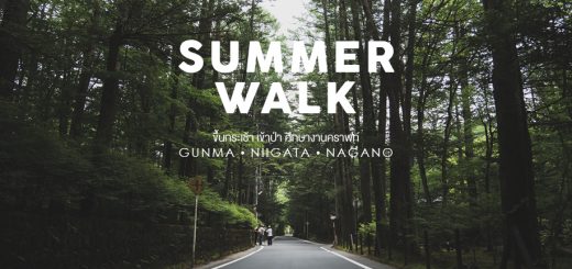 Summer walk ขึ้นกระเช้า เข้าป่า ศึกษางานคราฟท์ ที่จังหวัด Gunma • Niigata • Nagano ตอน Nagano-นากะโนะ