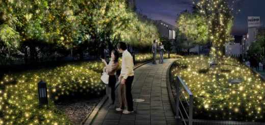 ดื่มด่ำไปกับเทศกาลประดับไฟ Shinjuku Terrace City Illumination ที่มาในคอนเซปต์ดอกไม้สีสวยกลางมหานคร