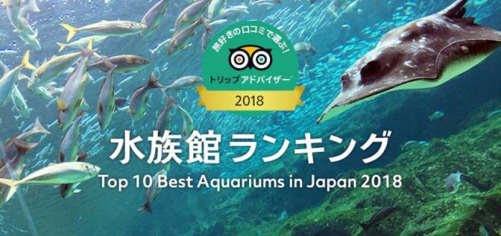 TOP 10 อควาเรียมชื่อดังที่ญี่ปุ่นประจำปี 2018