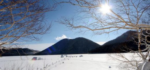 หนาวนี้ที่ฮอกไกโด 7 สิ่งที่ต้องทำเมื่อไปเยือนเกาะเหนือสุดของญี่ปุ่นช่วง Winter 2019