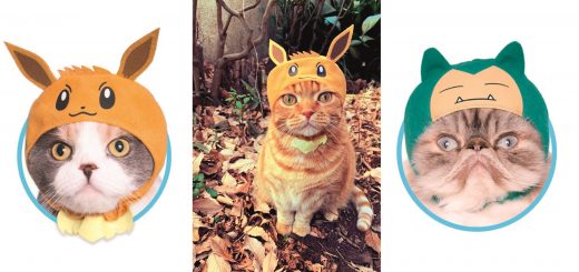 จะน่ารักขนาดไหนเมื่อน้องแมวแปลงร่างเป็นโปเกม่อน! Cute Cute Cat Hoods หมวกน่ารัก ๆ สำหรับน้องแมววางขายแล้วจ้า~