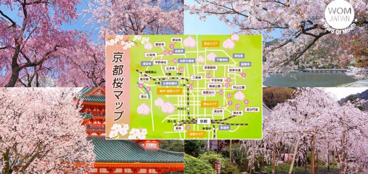 กางแผนที่ 18 สถานที่ท่องเที่ยวชมซากุระ 2019 ในเกียวโต