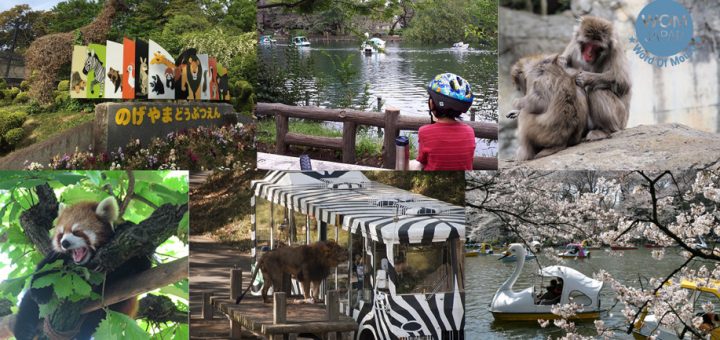 ออกจากป่าคอนกรีตกันเถอะ ! แนะนำ 5 สวนสัตว์บรรยากาศดีในโตเกียว เหมาะแก่การใช้เวลาร่วมกันในวันหยุด