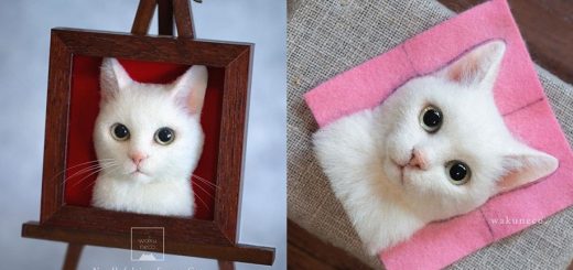 รูปเคารพศพแมว 3 มิติ เหมือนซะยิ่งกว่าตัวจริง ทางเลือกสำหรับทาสแมวที่อยากจดจำเจ้านายผู้ล่วงลับ