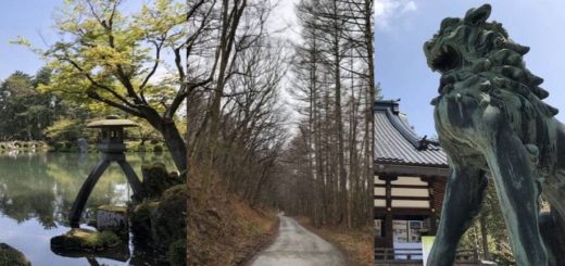 แนะนำ Hokuriku Arch Pass สำหรับคนชอบนั่งรถไฟเที่ยว กิน ลม ชม วิว ระหว่างทางไป Tokyo - Osaka