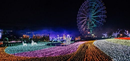 สุดยอดงานประดับไฟสุดคิ้วท์ที่ไม่ค่อยมีคนรู้จัก “Tobu Zoo Winter Illumination” ปี 2019-2020