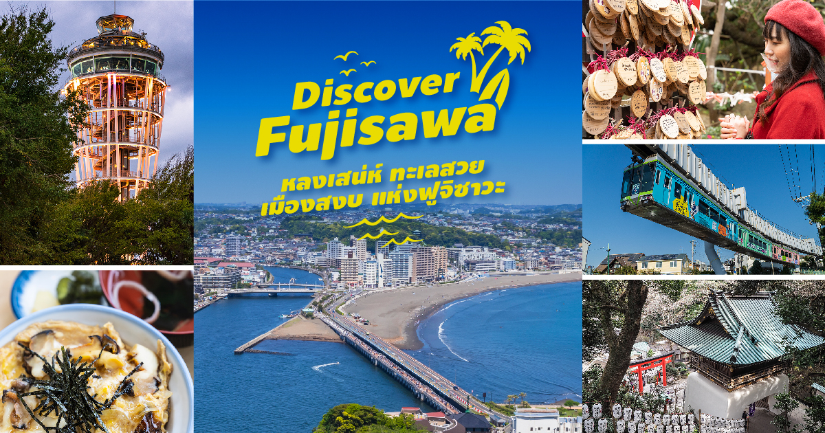 Discover Fujisawa หลงเสน่ห์ ทะเลสวย เมืองสงบ แห่งฟูจิซาวะ WOM JAPAN